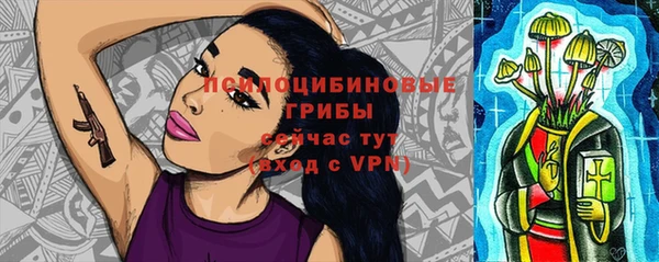 прущая мука Абаза