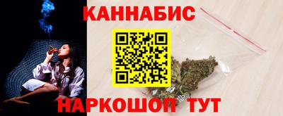 гидра Гатчина
