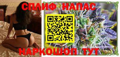 гидра Гатчина