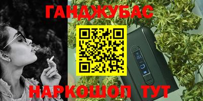 гидра Гатчина