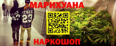 гидра Гатчина
