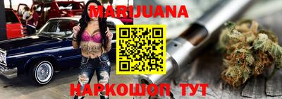 гидра Гатчина