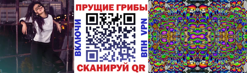 Псилоцибиновые грибы Psilocybine cubensis  Ливны 